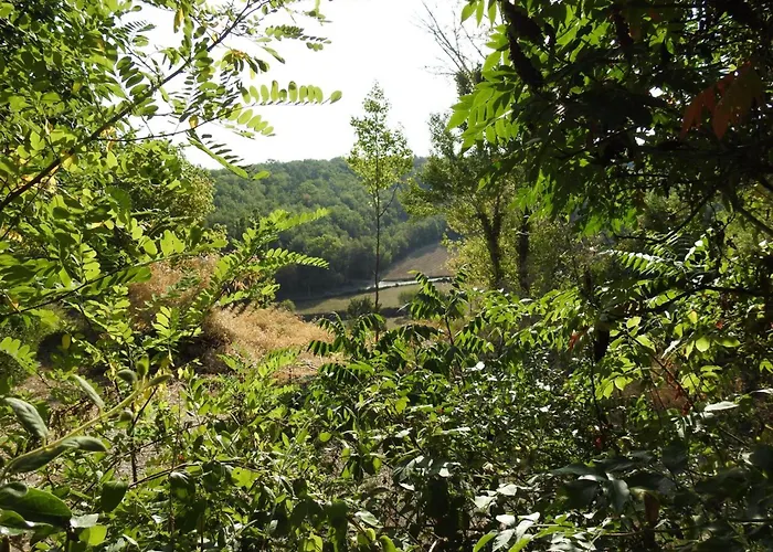 Feriehus Maison De Charme Avec Jardin Clos Et Wifi Au Coeur Du Perigord Noir - Fr-1-616-401